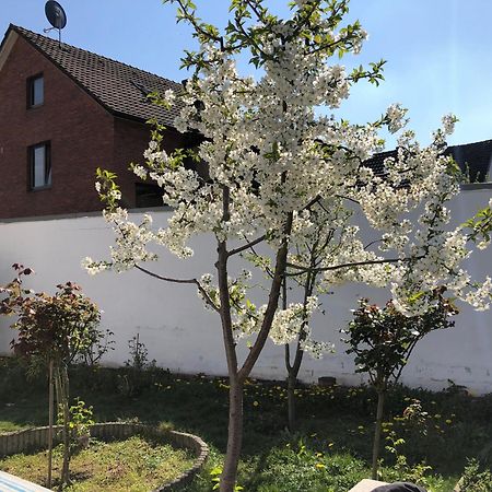 Kleve-Kellen Lejlighed Kleve  Eksteriør billede
